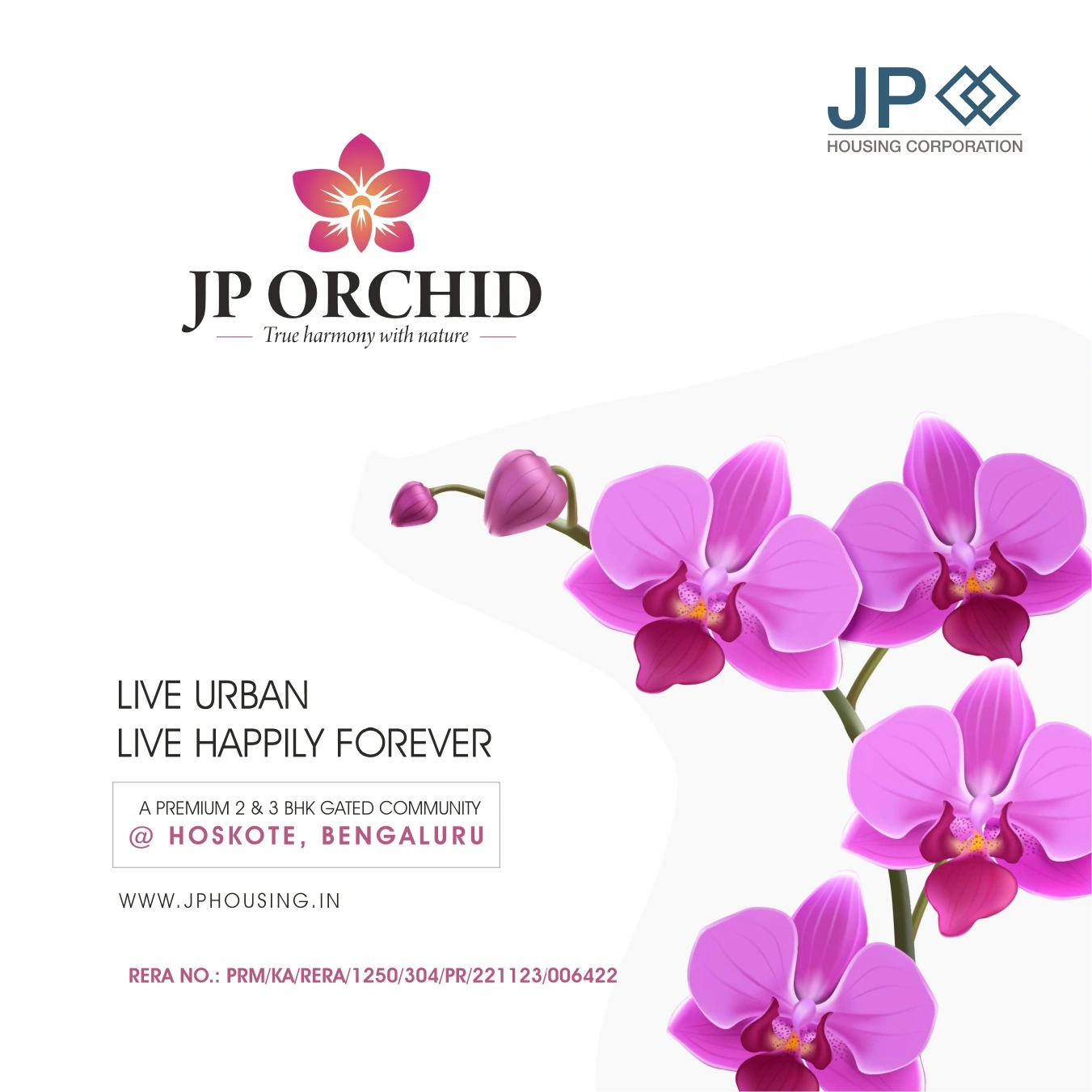 JP ORCHID Carousel Image-0